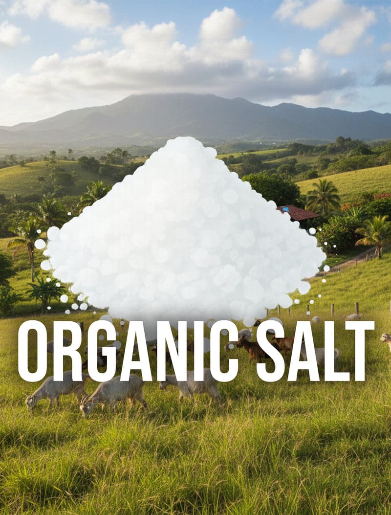 Hand Harvested / Organic Qualified Salt